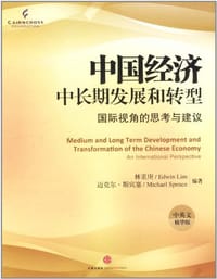 中国经济中长期发展和转型