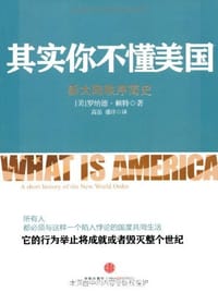 其实你不懂美国 - 罗纳德·赖特