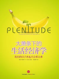 大萧条下的生活经济学 - [美] 朱丽叶•B•肖尔