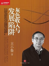 书籍 灰色收入与发展陷阱的封面