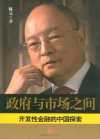 书籍 政府与市场之间的封面