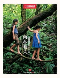 雨林精灵 - 林妲