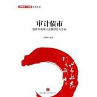 书籍 审计债市的封面
