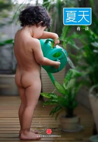 书籍 夏天的封面