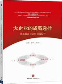 大企业的战略选择：资本魔方与上市顶层设计
