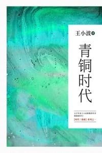 青铜时代 - 王小波