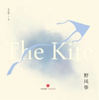 书籍 野风筝的封面