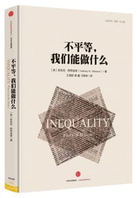 书籍 不平等，我们能做什么的封面