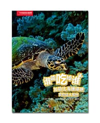 加勒比海珊瑚礁食物链大揭秘