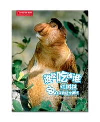 红树林食物链大揭秘