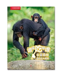 云雾森林食物链大揭秘