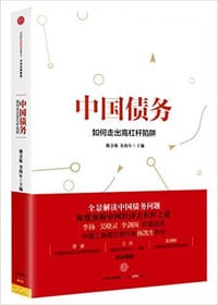 书籍 中国债务的封面