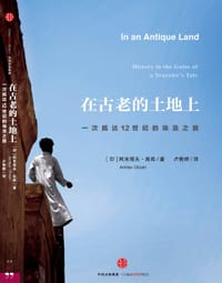 在古老的土地上 - [印] 阿米塔夫·高希