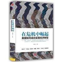 书籍 在危机中崛起的封面