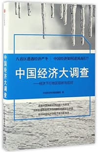 中国经济大调查--经济下行地区现状与应对