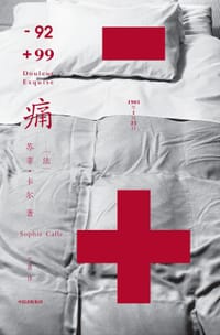痛 - [法]苏菲·卡尔