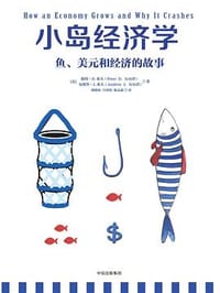 书籍 小岛经济学的封面
