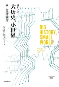 大历史，小世界 - 辛西娅·斯托克斯·布朗