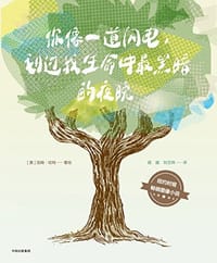 你像一道闪电,划过我生命中最黑暗的夜晚 - [美] 汤姆·哈特 著绘