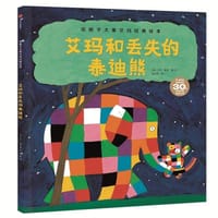 书籍 艾玛和丢失的泰迪熊的封面