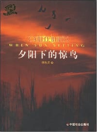 夕阳下的惊鸟