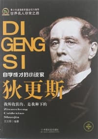 书籍 狄更斯的封面