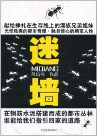 迷墙