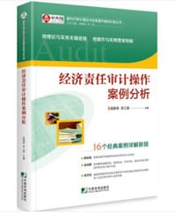 经济责任审计操作案例分析