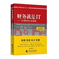 财务就是IT