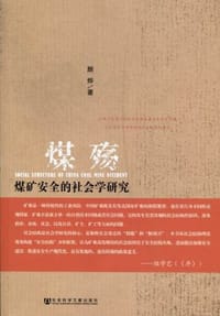 煤殇