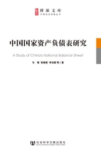 中国国家资产负债表研究 - 马骏