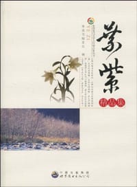 书籍 叶紫精品集的封面