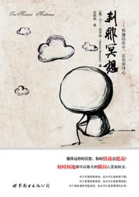 刹那冥想 - [美]马丁·保罗森（Martin Boroson）