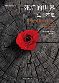书籍 死后的世界的封面