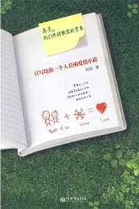 只写给你一个人看的爱情小说