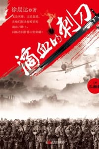 书籍 滴血的刺刀（上、下）的封面