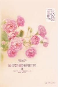 书籍 爱你是最好的时光Ⅱ的封面