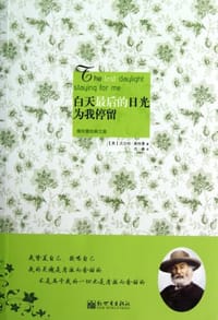 书籍 白天最后的日光为我停留的封面
