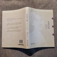 《林徽因全集》：（精装全4册 附赠《徐志摩诗歌集》）收录林徽因诗歌、散文、书信、小说等全部作品。读其文，能体会才女的优雅、理性、智慧；阅其信，能知晓林徽因与梁思成、徐志摩、金岳霖一生爱的纠葛。
