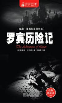 书籍 罗宾历险记的封面