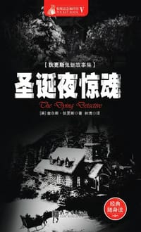 书籍 圣诞夜惊魂的封面