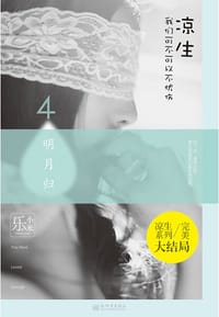 书籍 凉生，我们可不可以不忧伤4的封面