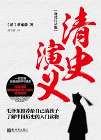 书籍 现代白话版—清史演义的封面