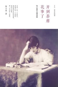 书籍 陆小曼作品精选集的封面