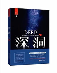 书籍 深洞的封面