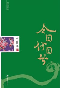 书籍 今日何日兮的封面