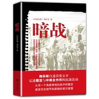 暗战 - 刘台平