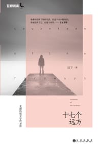 书籍 十七个远方的封面