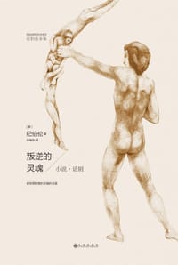 书籍 叛逆的灵魂的封面