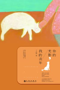 书籍 你的光影，我的流年的封面